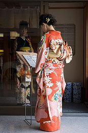 《上古卷轴5》新龙吼变龙MOD 多种类型性能各异